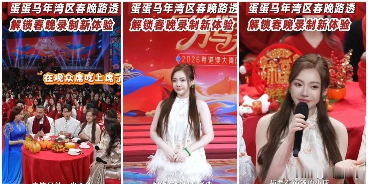 蛋蛋上广东卫视春晚登台表演！

             去年12月初报道蛋蛋受