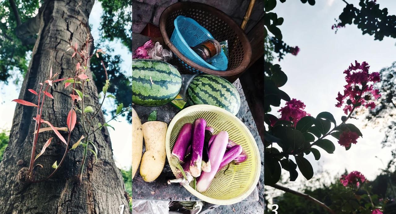 这所学校对你的人生轨迹有什么影响
完整问题：这所学校对你的人生轨迹有什么影响?是