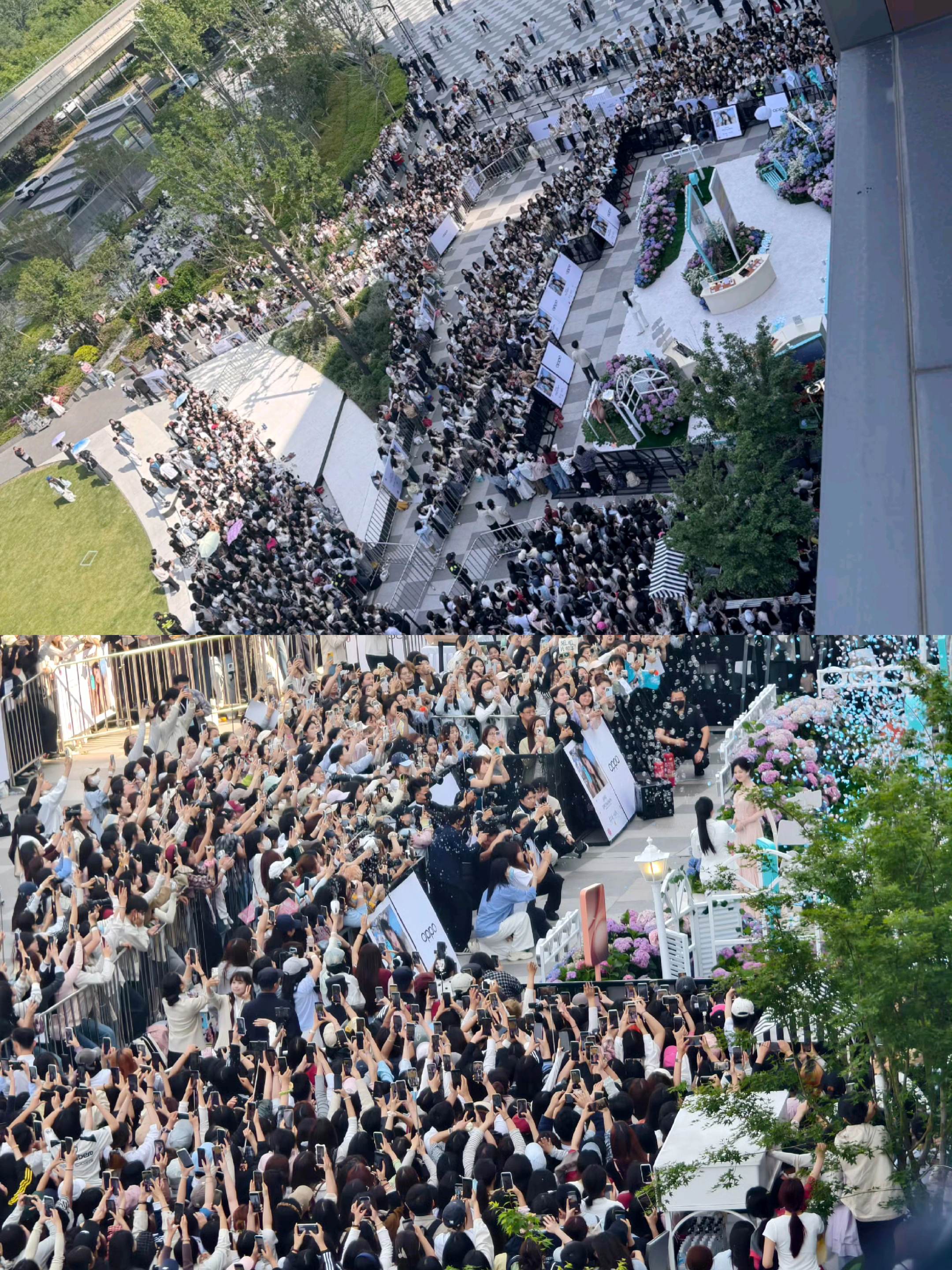 饱饱，你看真的越来越多人看见你了😭有很多人爱着你