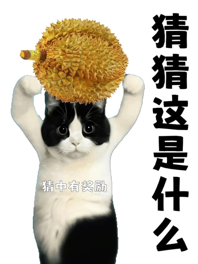 开榴莲开到音响了有没有人和我一样，对榴莲爱吃的程度一般般，但是就喜欢买来开盲盒，