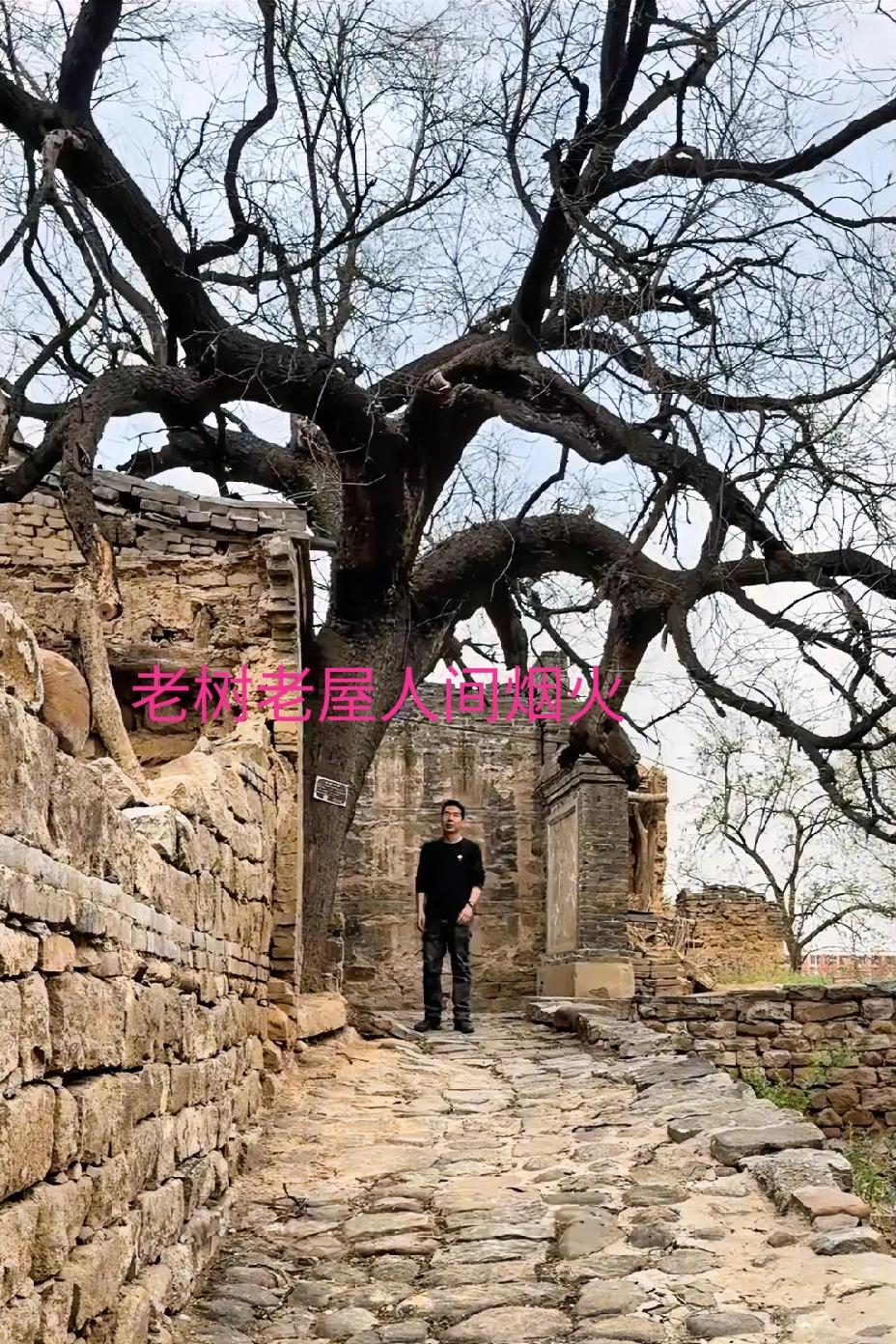 这就是我的一辈子，平淡得只剩烟火气

今年我六十五了。

说起来挺惭愧的，这一辈