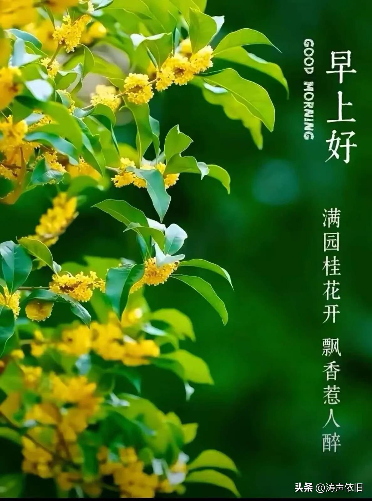《清平乐·晨祝》

时钟轻晃，
岁月悠然漾。
一纸温言屏上往，
捎去清晨清赏。