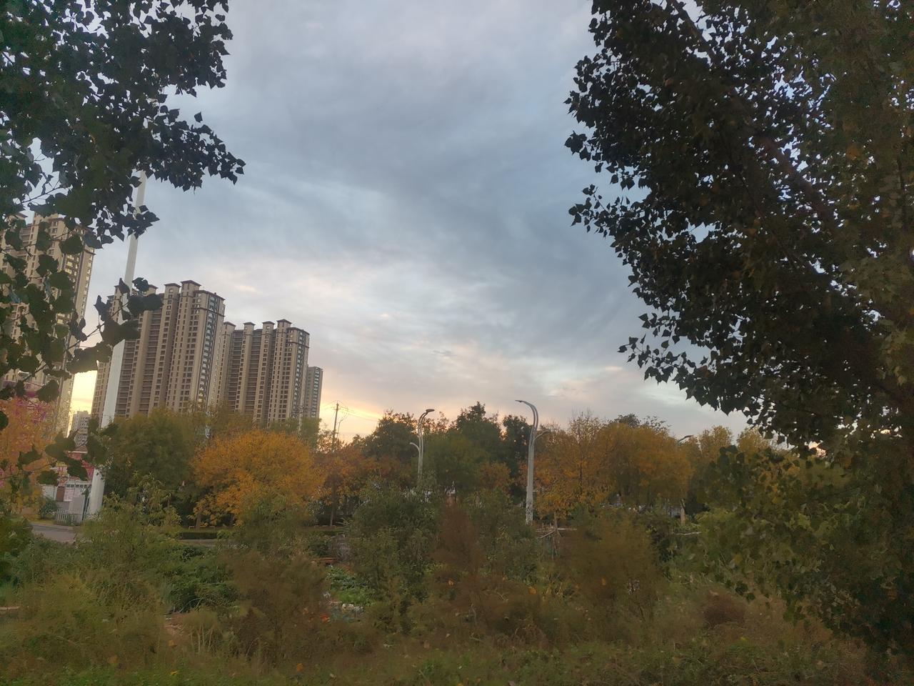 虽是周末，生物钟还是按时敲响，虽然迷恋旧梦，但再难以入睡。于是乎，索性起床去晨练