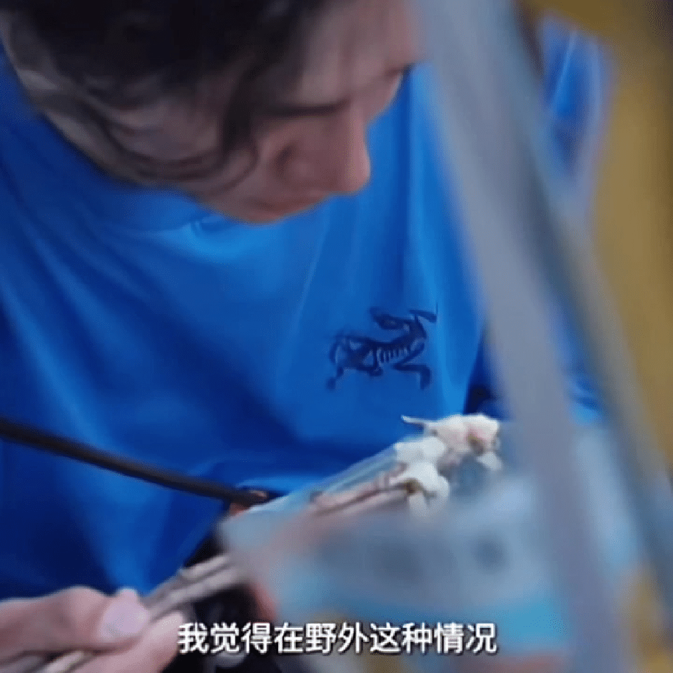 第一季掉到地上的肉🍖直接吃了，第二季树枝当筷子。啥也别说，作为户外老客，王一博