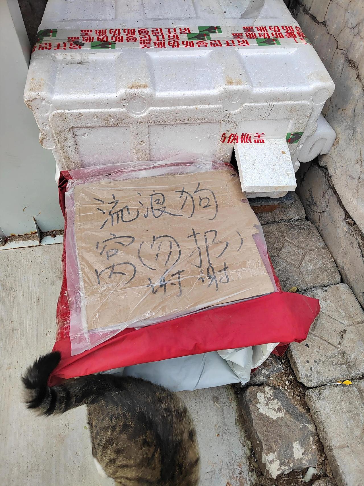 在公园里的一角，看到了暖心的一幕
不知道是哪位好心的邻居，给流浪狗狗搭了简易的小