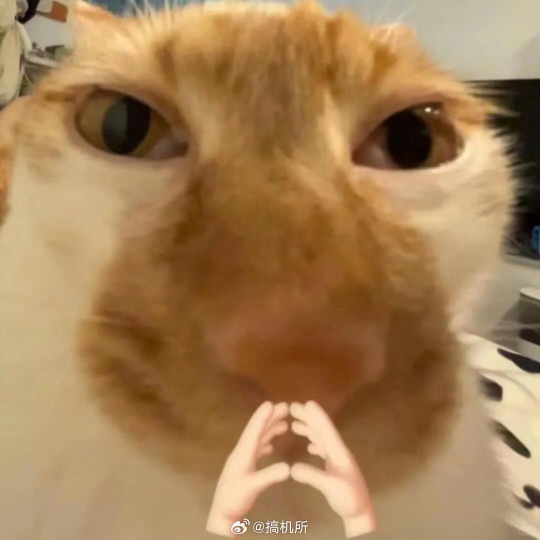 有时候也说不上来为什么，就是想出来说点什么，但又不知道该说什么那就简单点：关注 