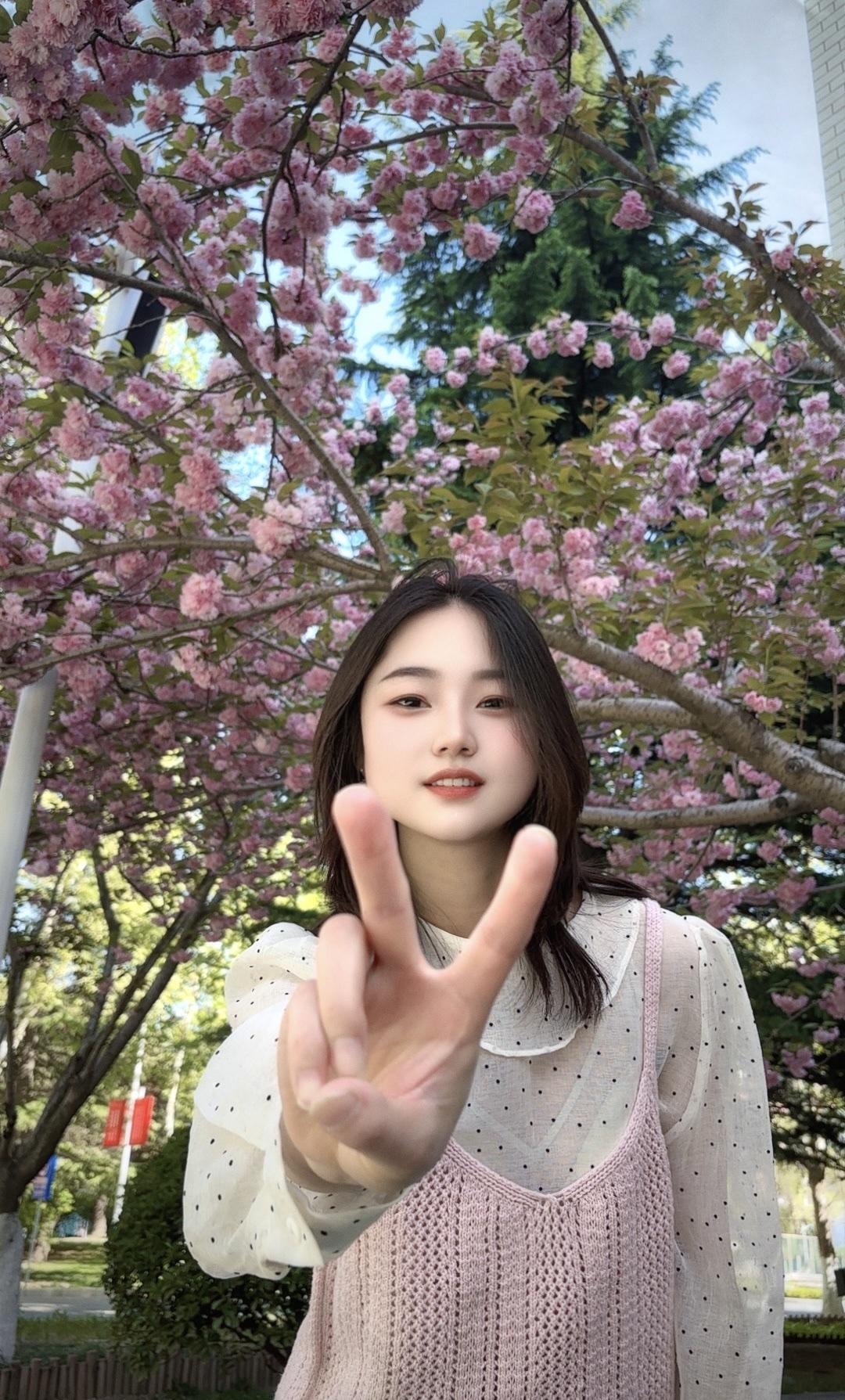 赴一场樱花季，藏满心欢喜，心情太好了盛开着的樱花