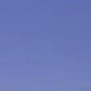 晚安心语 睡了睡了，家人们晚安～愿每一个夜晚都平安美好愿每一个明天都更加灿烂。自