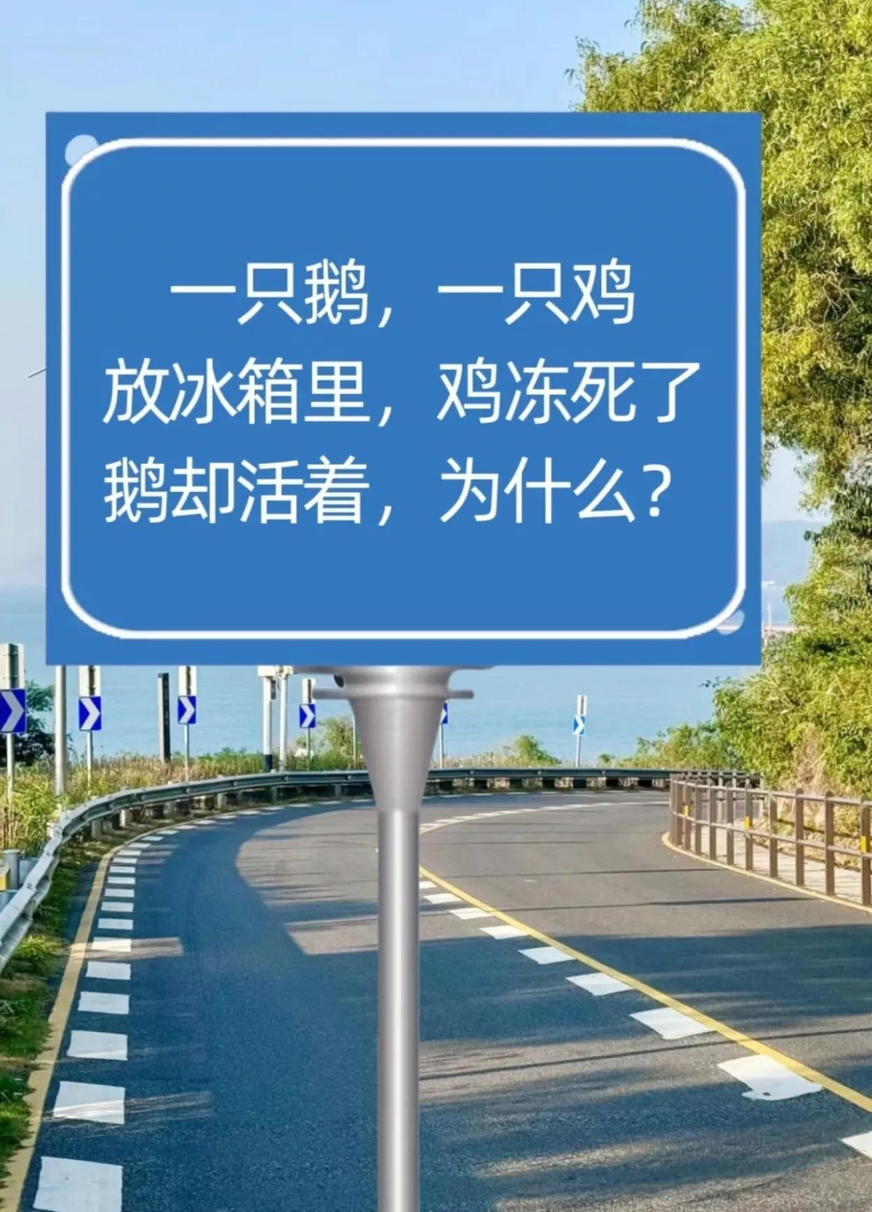 想了一晚上还没想明白为什么？