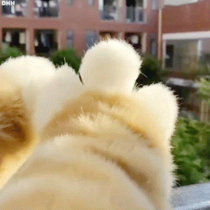 #给朋友打工有必要吗#   大家千万不要选择给自己的朋友打工，并不是说我们不能够