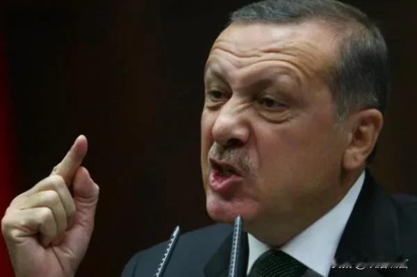 土耳其太惨了，遭到报复了，接下来土耳其埃尔多安敢继续硬刚以色列吗？

前几天土耳