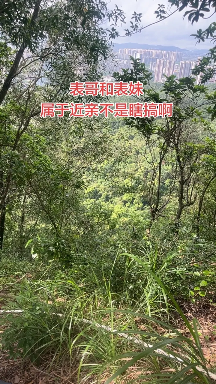 爬山吸取大自然的能量
