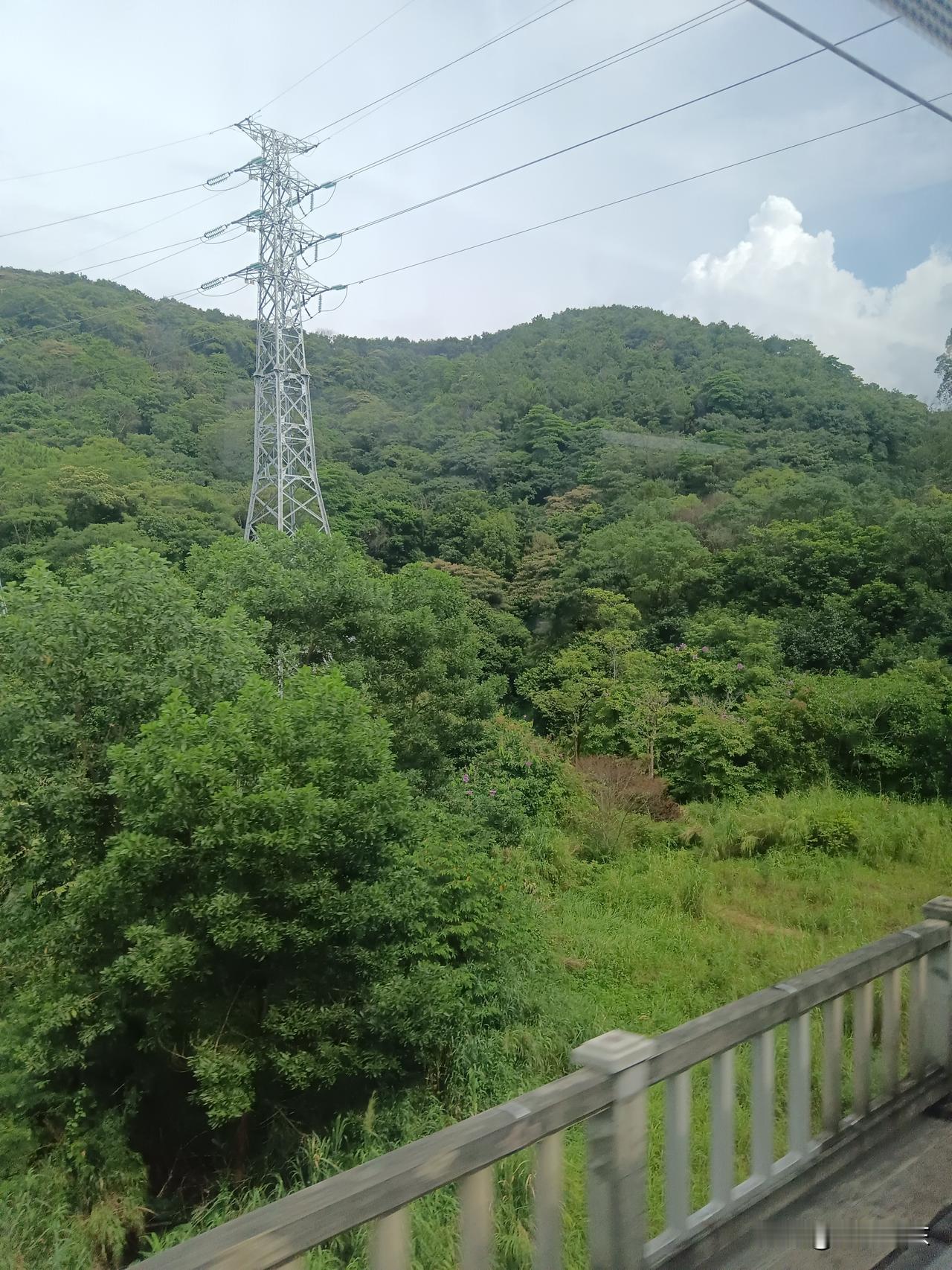 广东城轨途经的地段着实偏僻，和地铁的线网布局完全不是一个路数，而且票价也不算亲民