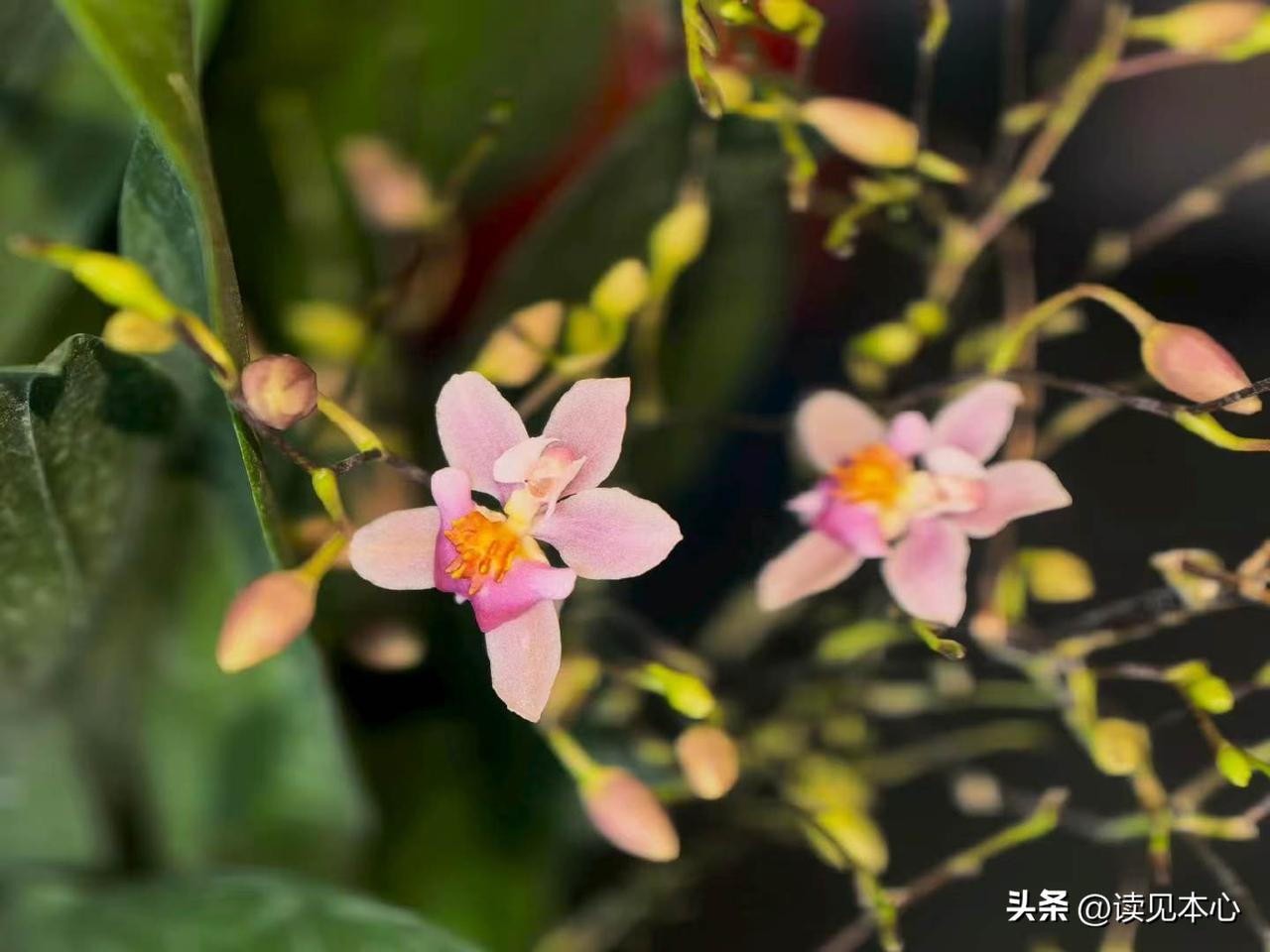 很透彻的话：
“人真正需要的其实不是婚姻，也不是性，甚至都不是伴侣，而是正向的亲
