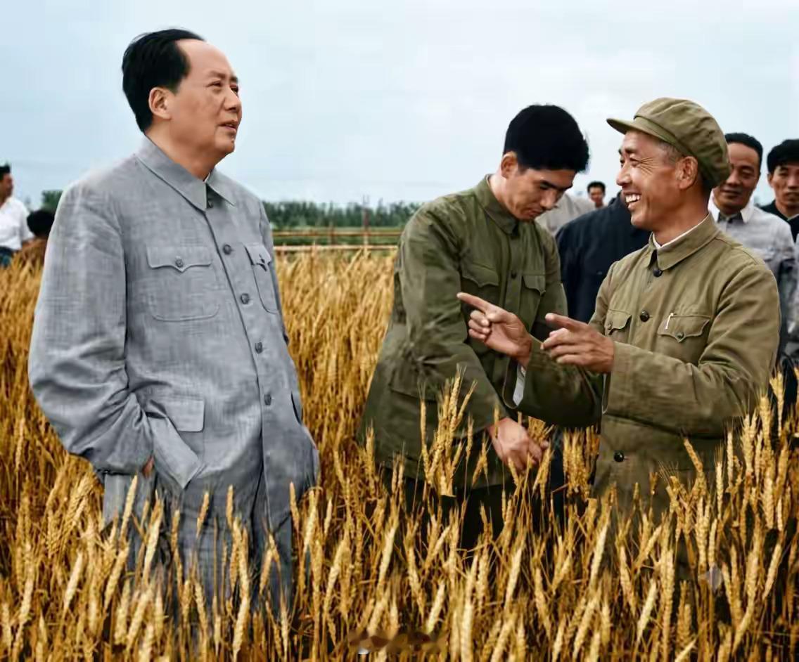 一张极其少见的照片。1960年，在河南郑州的燕庄麦田，毛主席听取基层村干部汇报小