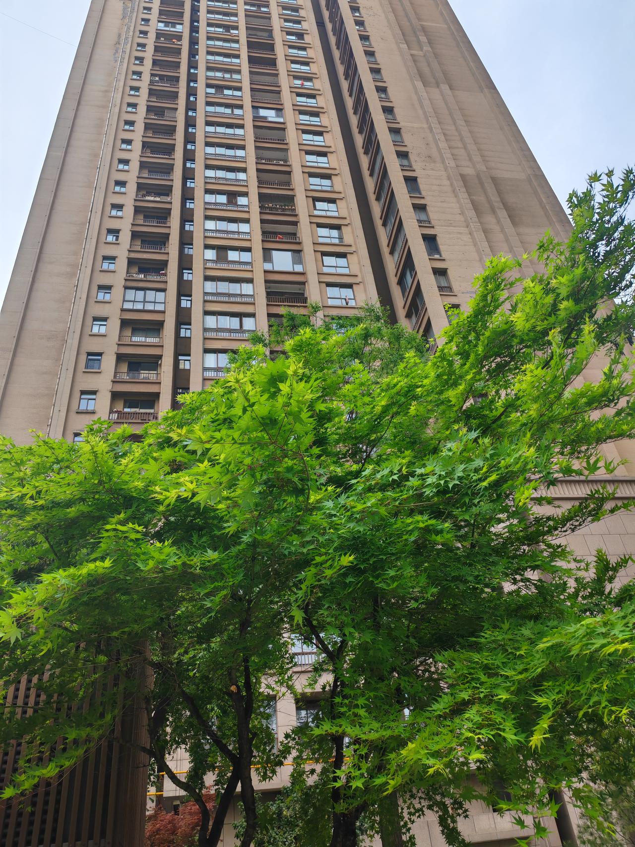 这样的情谊到底还需要不？

我为什么自从退休以后，不喜欢有些社交了，因为我觉得自