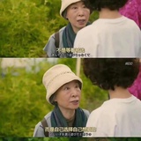 雅霜捧法律