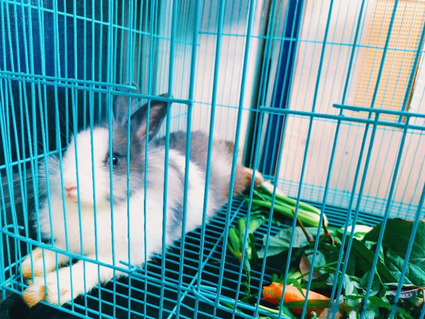 新成员 ​​​