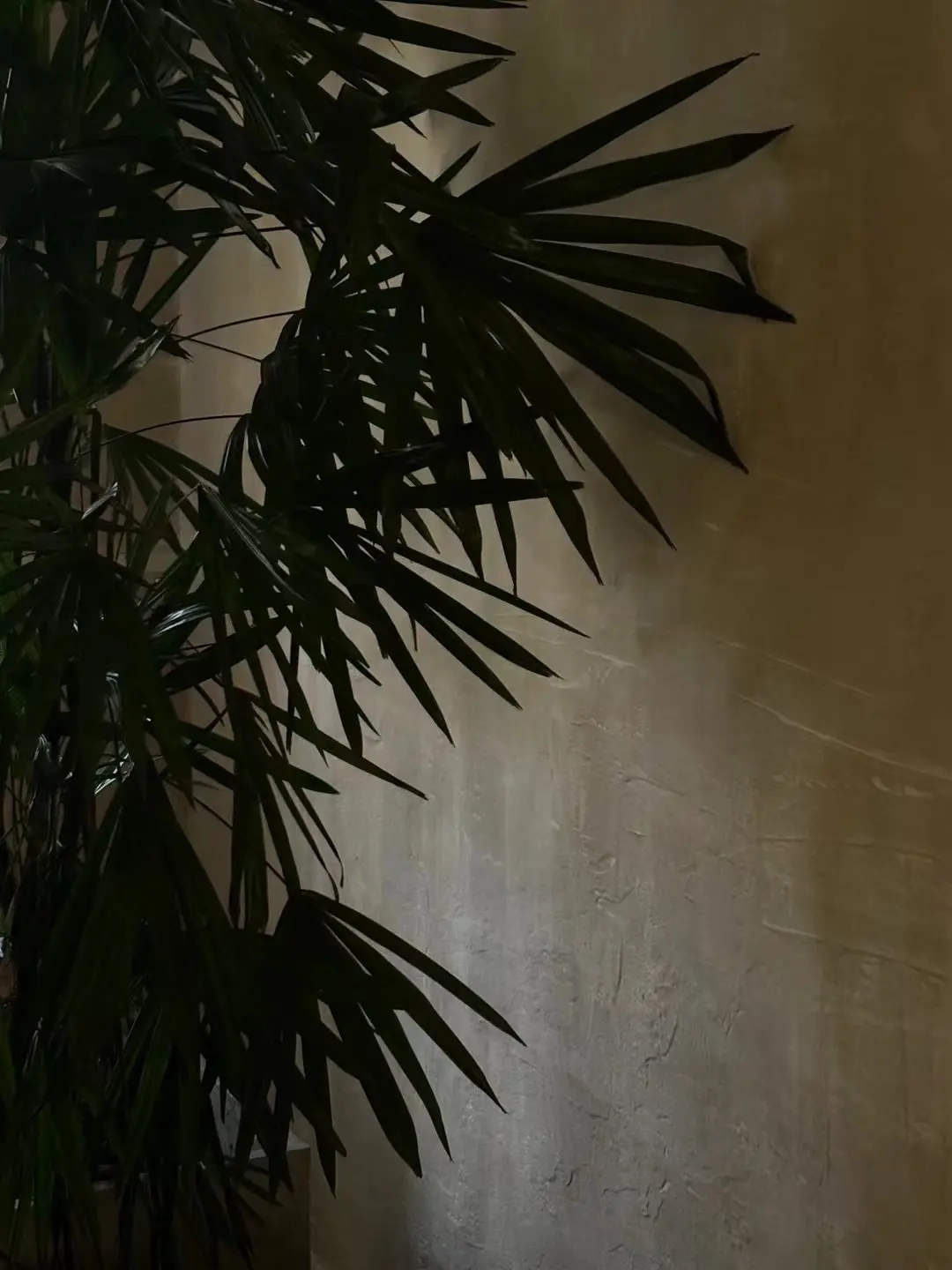 “一切看似难熬的终将被证明只是过程”独特的爱人能力往往尺度舒适