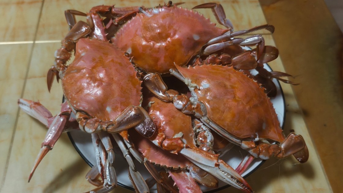 螃蟹🦀 就要吃 清蒸的[哈哈][哈哈][哈哈][哈哈][哈哈][哈哈][哈哈]