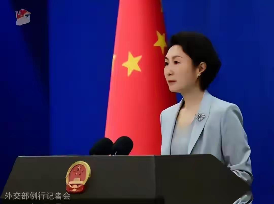 国际政治这盘棋里，最扎眼的从来不是牌最大的那位，而是嗓门最响的。菲律宾防长特奥多