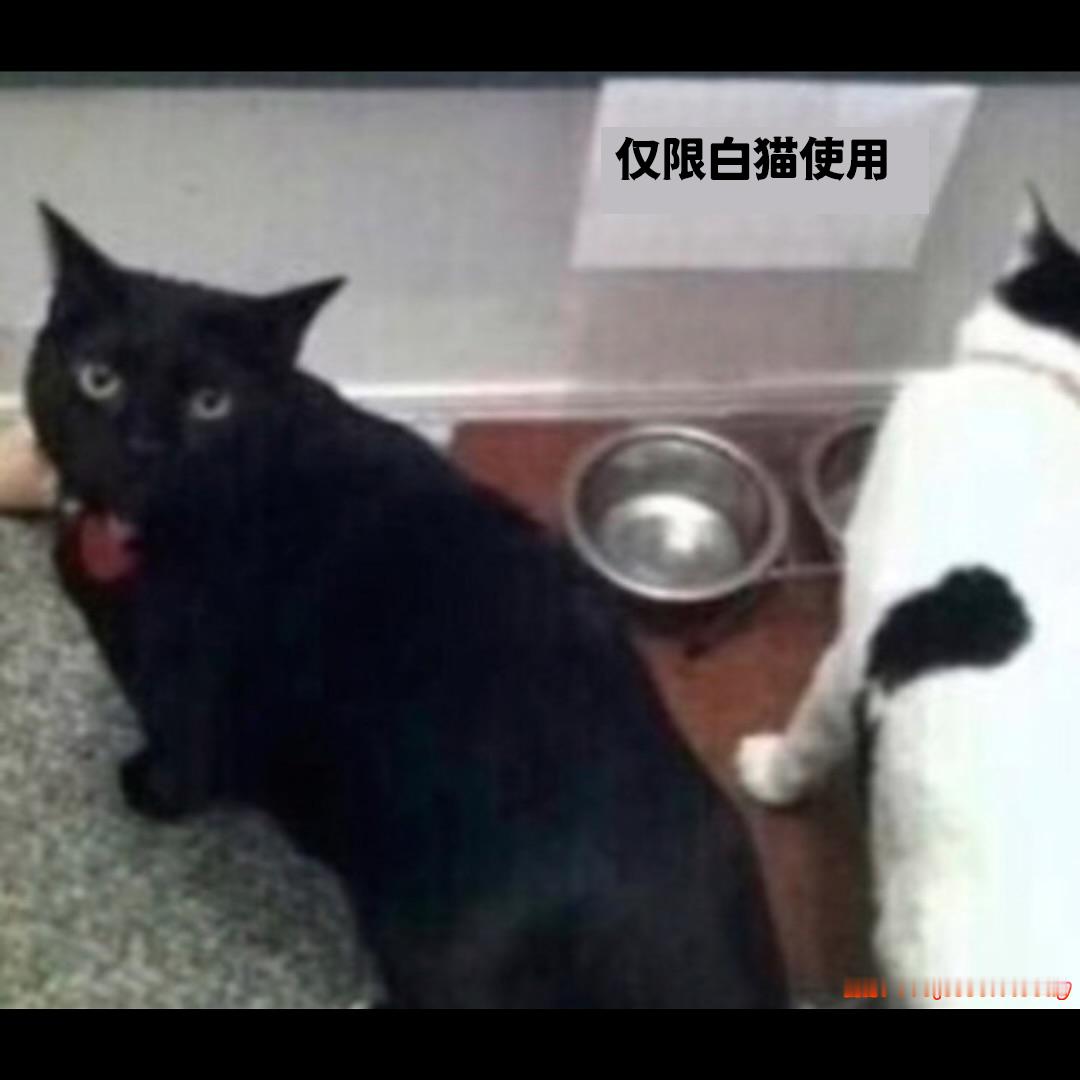 熟悉的感觉 