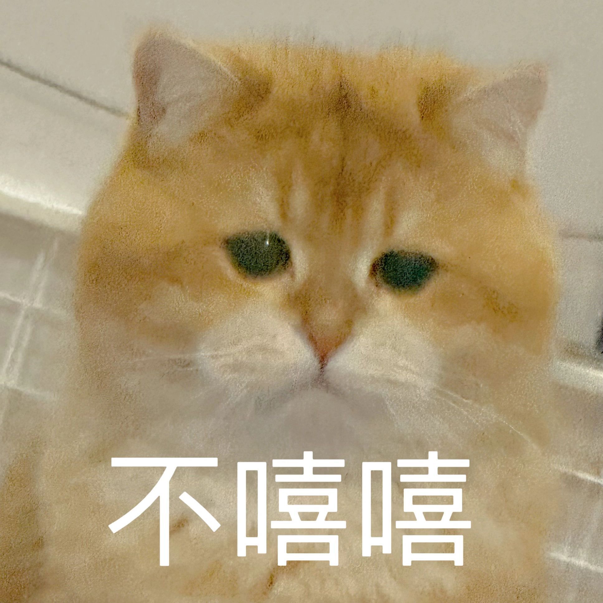 同志们，我回来了~这俩天忙的，昨晚到家洗完澡就睡死了她给我发消息都听不到的程度~