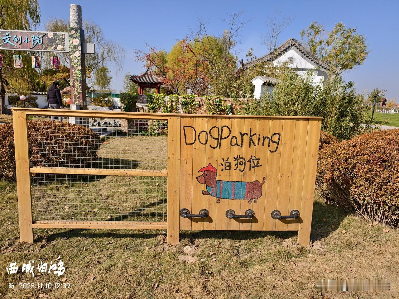 冬日生活打卡季东营园博园已焕新