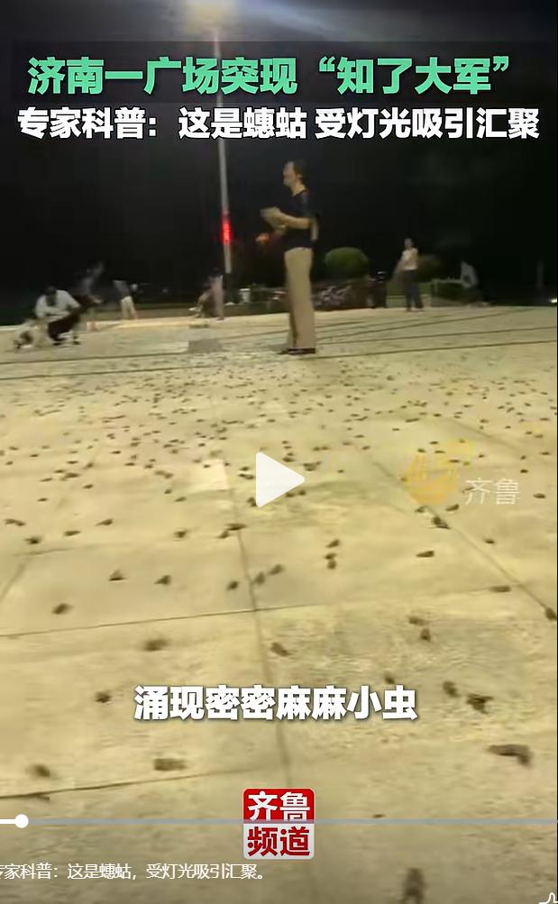 2026 年 7 月 22 日，大象新闻发布济南市民实拍视频，济南市历城区彩石街