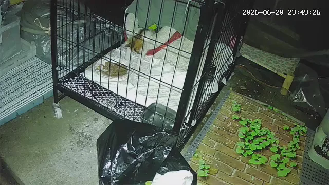 把孩子热傻了哈哈哈