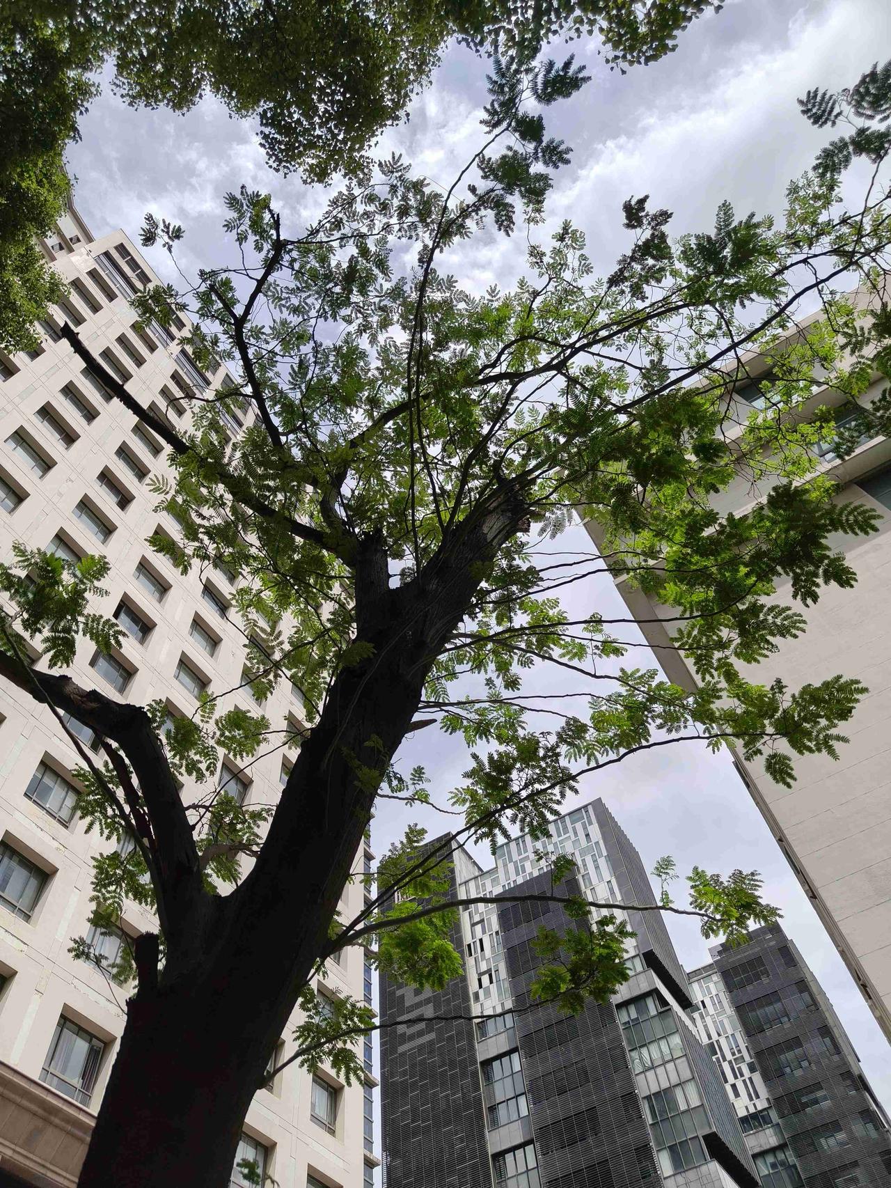 我的今日状态：💰期待暴富
我这里的天气：☀️晴天