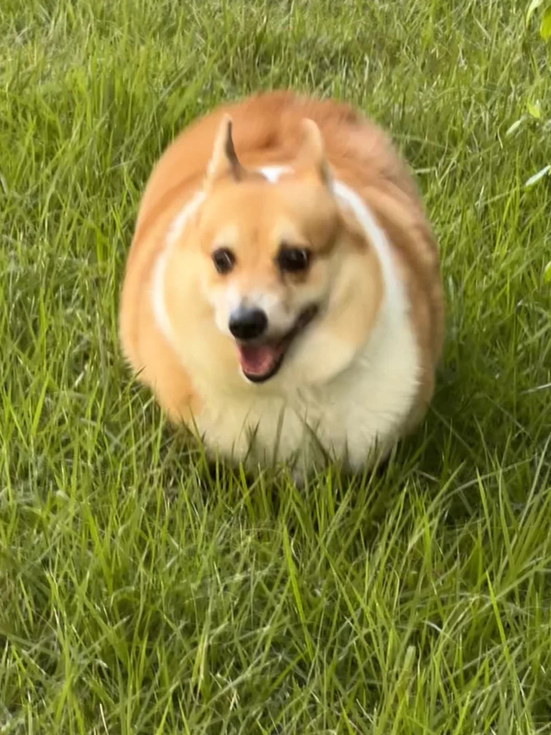 老母亲悬着的心，终于还是……