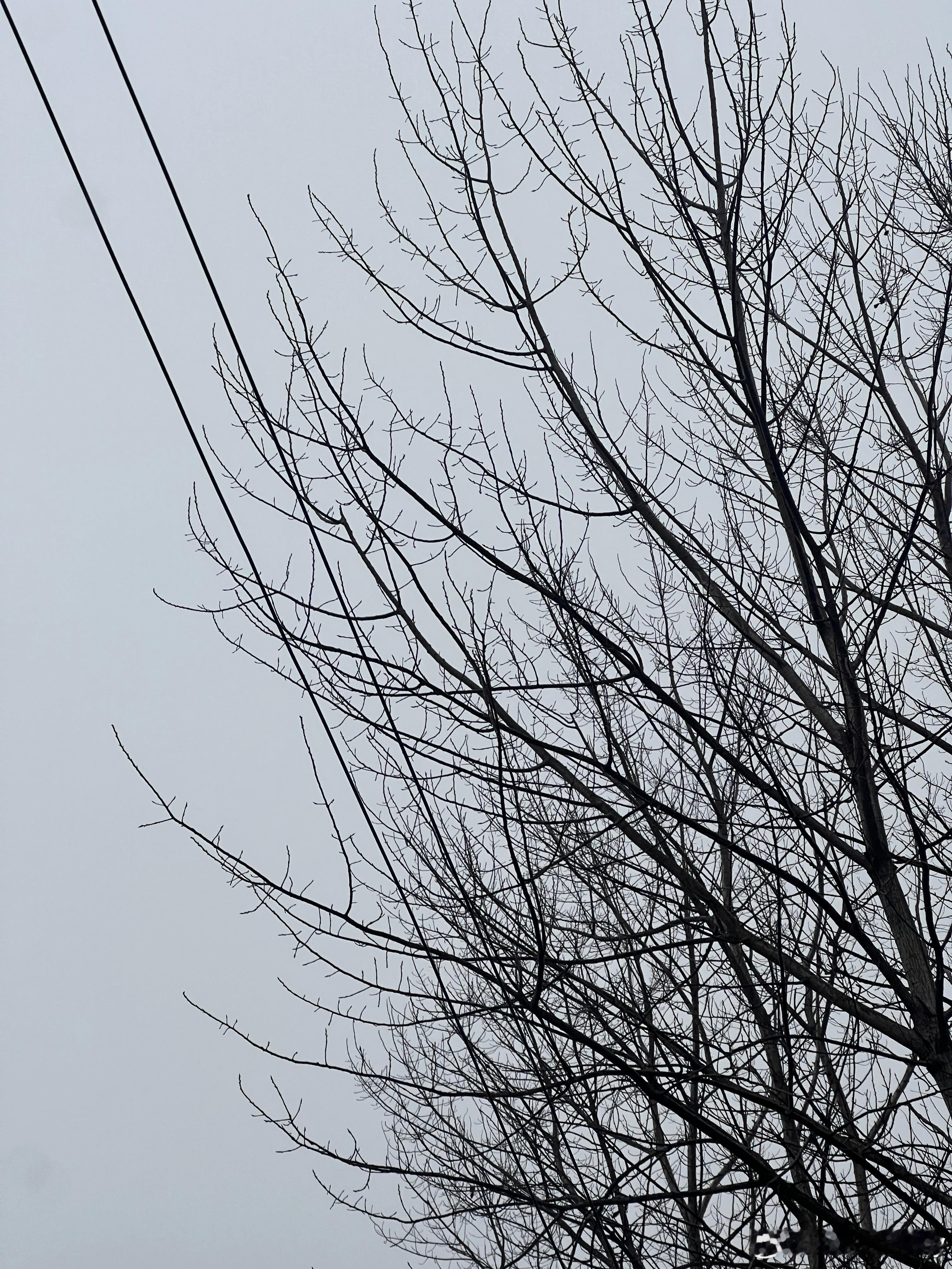 乡村日记01今天来奶奶家啦，灰蒙蒙的阴雨天，吃上一桌奶奶做的热腾腾饭菜，我又变成