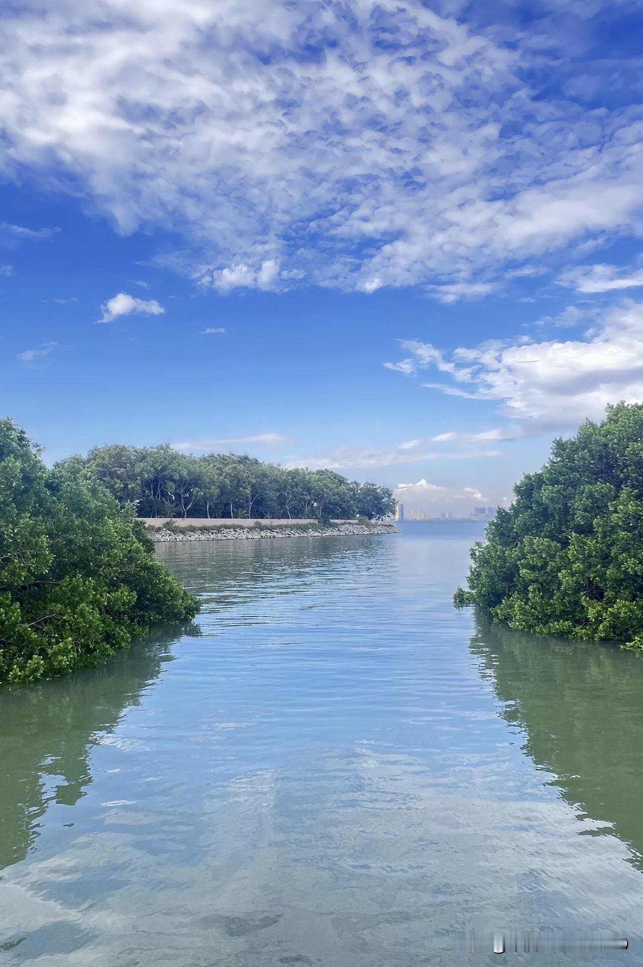 上周跑河南泌阳出差，顺路绕去泌水河公园晃了晃，直接被眼前的画面撞得挪不开脚。
头