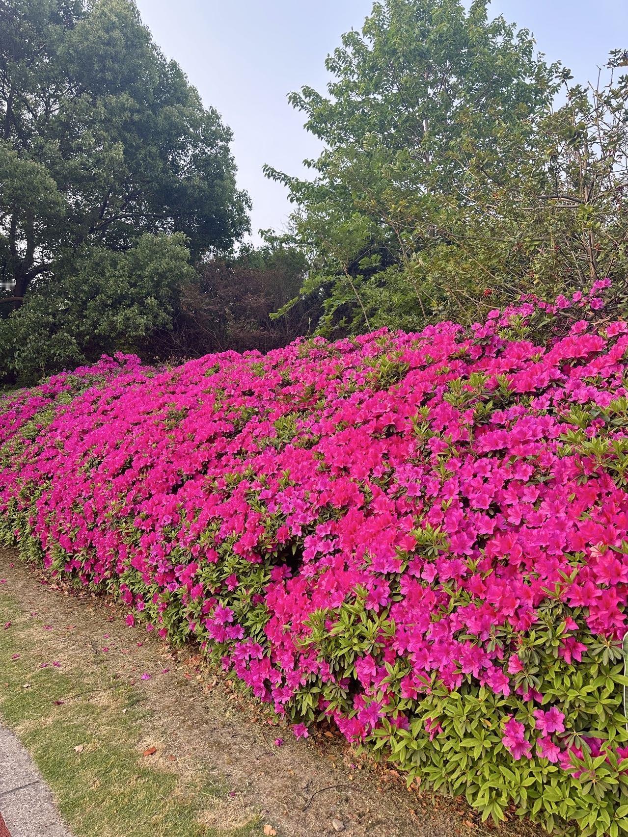 这是我相册里最美的风景照