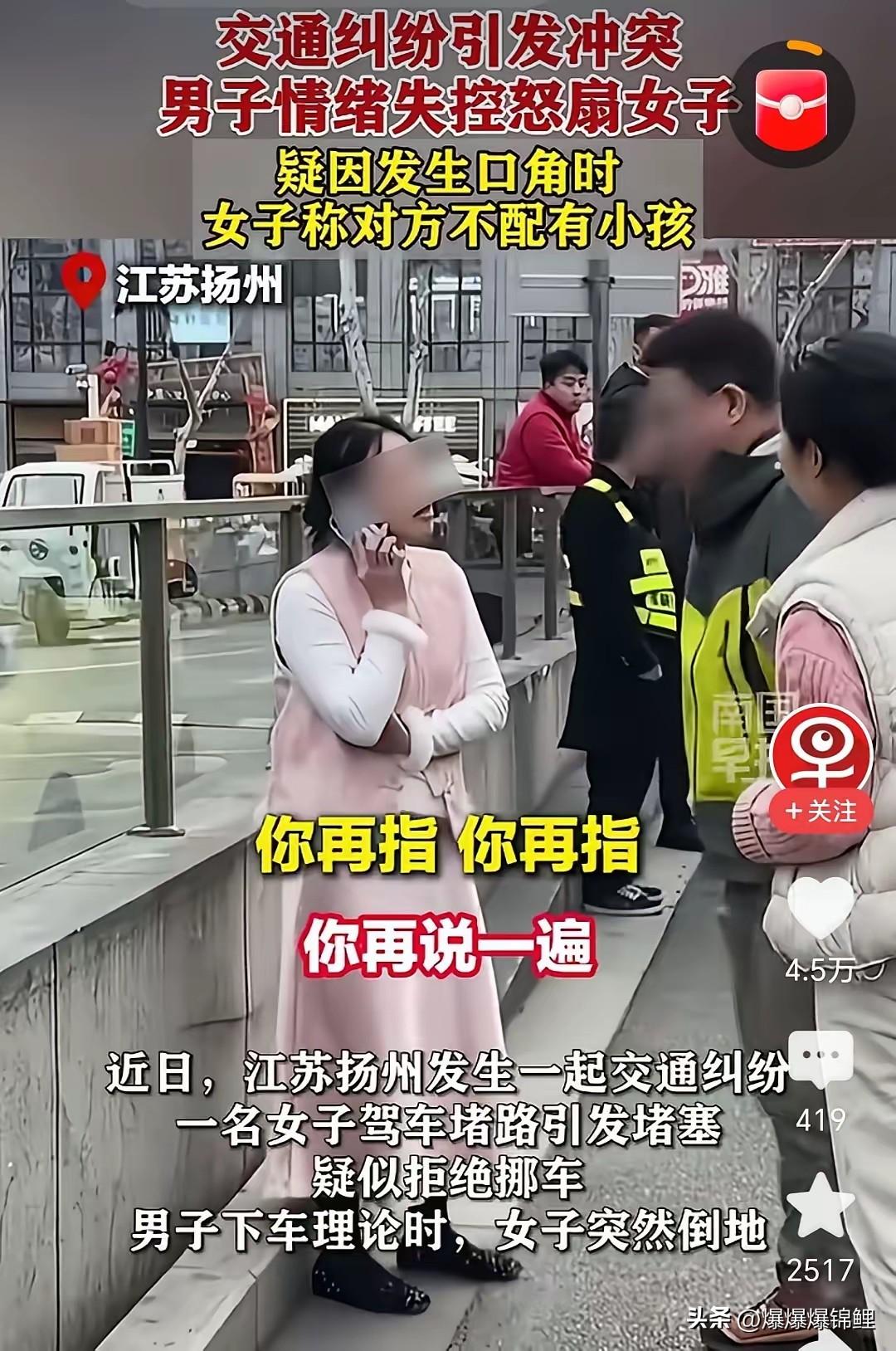 扬州那个女司机强行加塞还撒泼的事，近几日闹得挺凶。

尤其是听说男司机可能得赔3