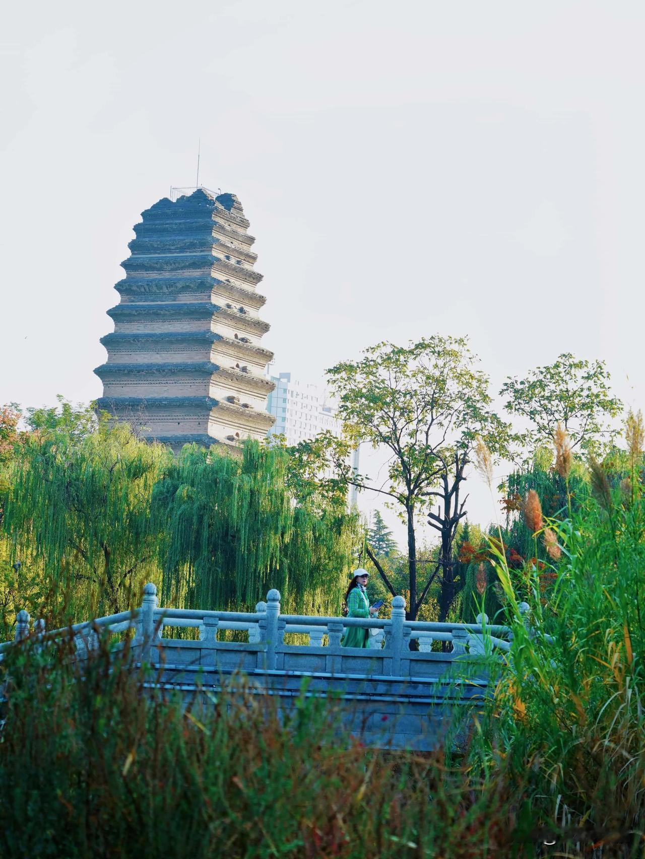 ✨西安博物院：一场惊艳的文化之旅✨

📸珍贵文物荟萃，千年古塔高耸，雁塔钟声悠