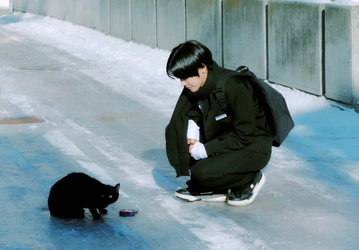 🐈‍⬛🐹 ​​​