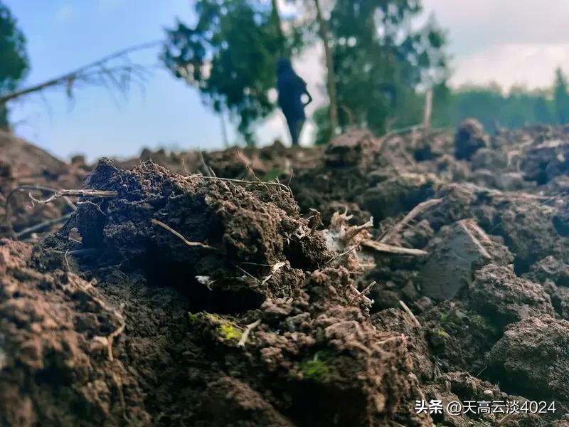 没有土地，没有社保，老了确实是个令人发愁的事儿。没有足够养老金，晚年生活质量会大