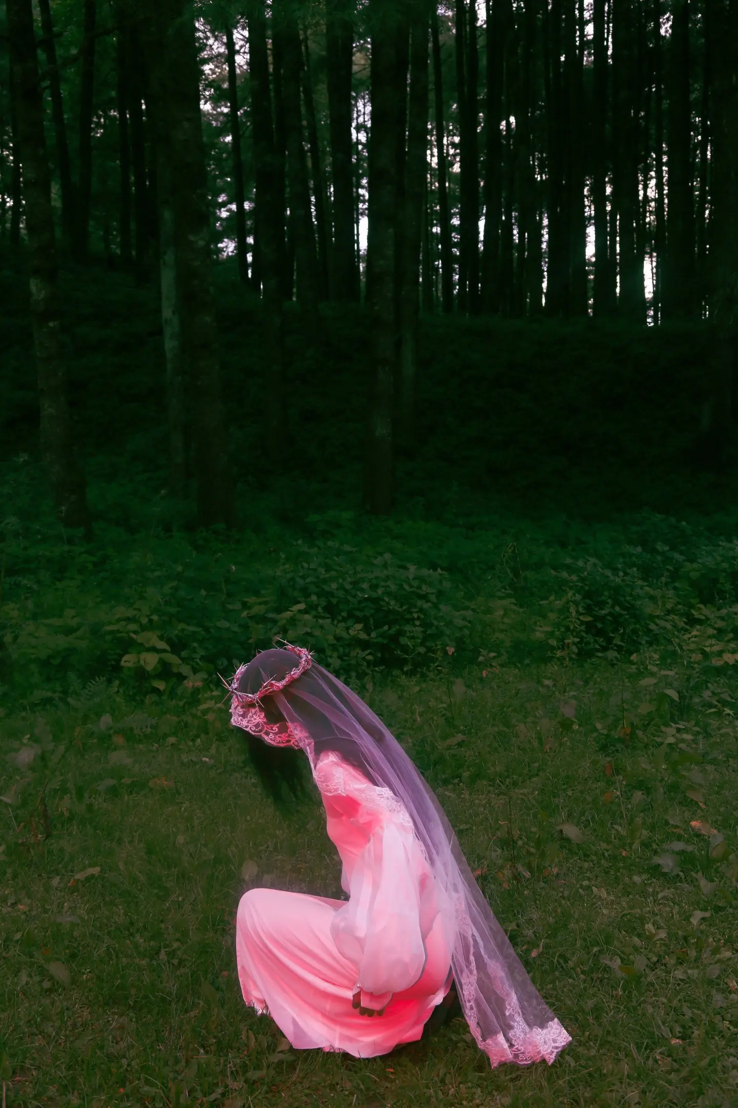 荆棘为我加冕。