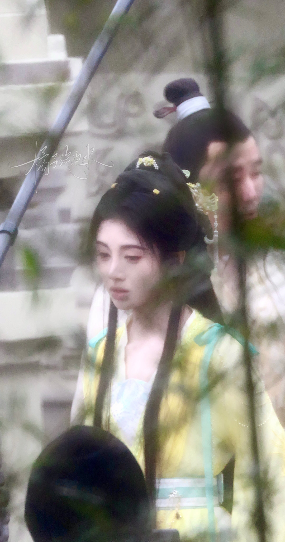 jjy鞠婧祎来战 jjy鞠婧祎阿黛 “玫瑰之所以是玫瑰，是风与光的眷顾，更是视线