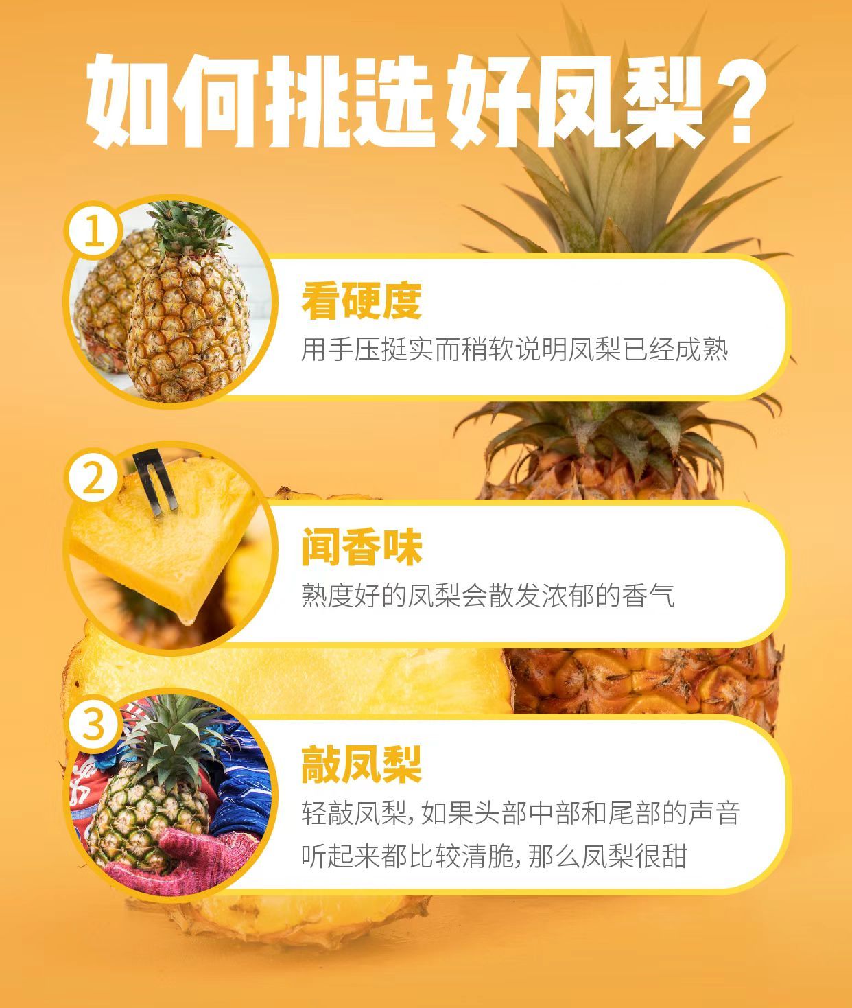 各界代表近日走进海南儋州凤梨种植源头，现场完成农残快检、糖度测量，发起“食品安全