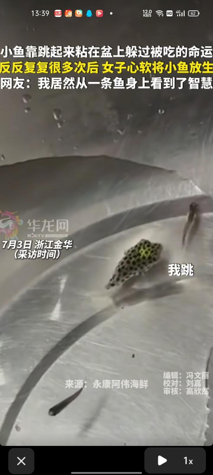 7月2日，金华永康市。网友发视频称，脸盆里的小鱼是自己在河里抓来喂给大鱼的，喂大