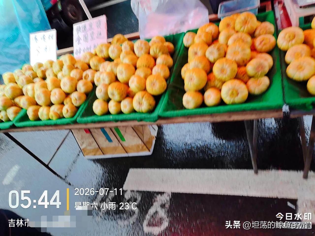 坐标吉林市， 2026年7月11日早晨06 :25分，两个退休老头在吉林市早市终