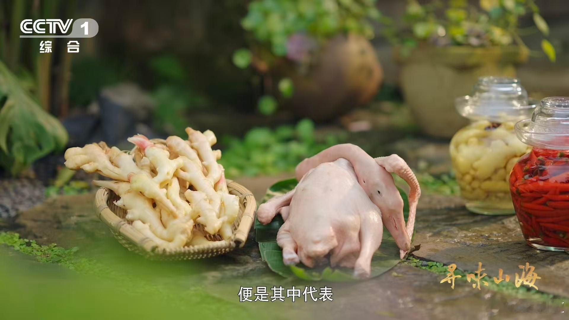 仔姜烧鹅随机馋哭一位游客一口就香迷糊的天花板下饭菜 啤酒炖鹅去腥提鲜，仔姜辛香柔