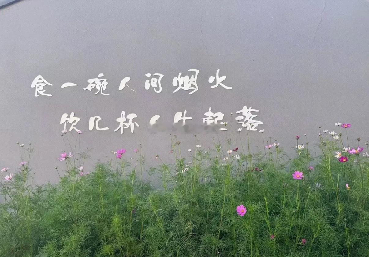 a股周一反弹力度不低，还得是科技创新，科创板，创业板指数，半导体材料，芯片，设备