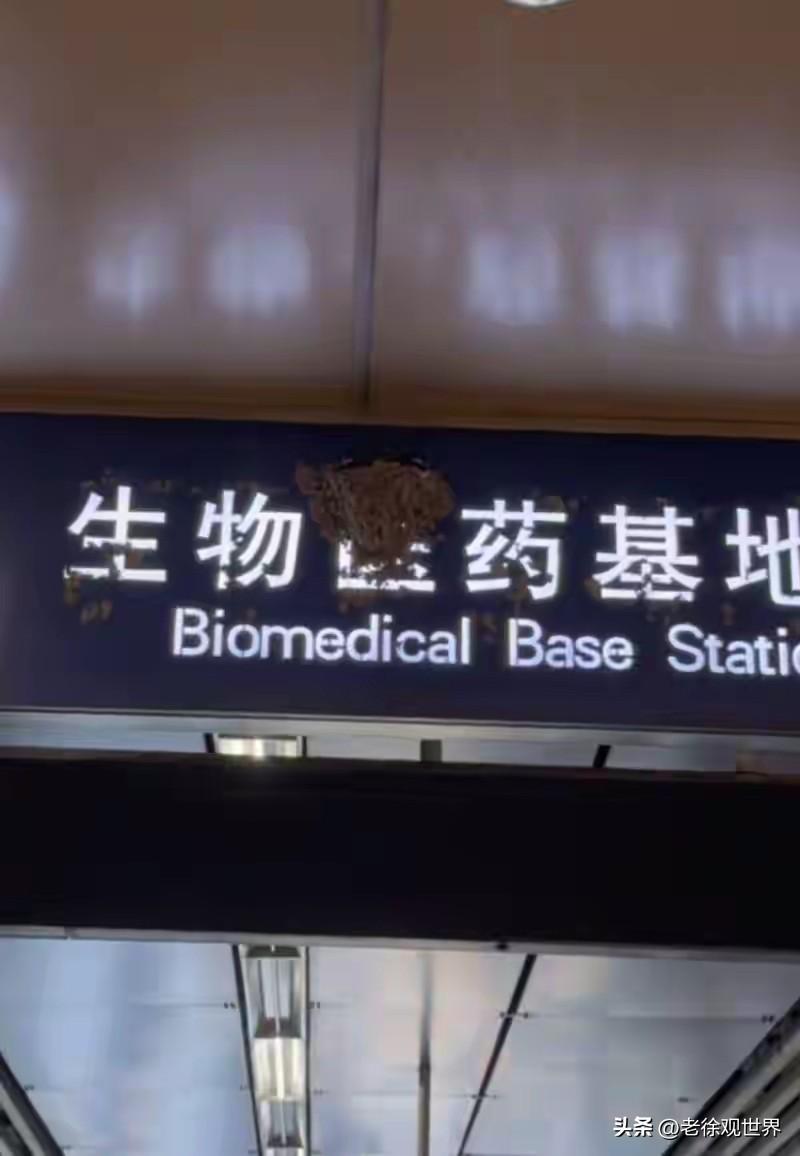 地铁站牌长出燕窝，这座城市的温柔难得可贵！
 
在北京地铁4号线生物医药基地站，