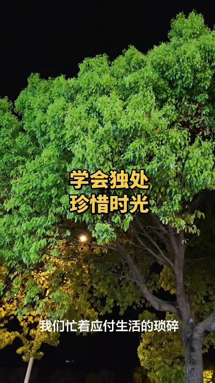 学会独处，珍惜时光。
人这辈子，越长大越懂独处的珍贵。我们忙着应付生活的琐碎，扛