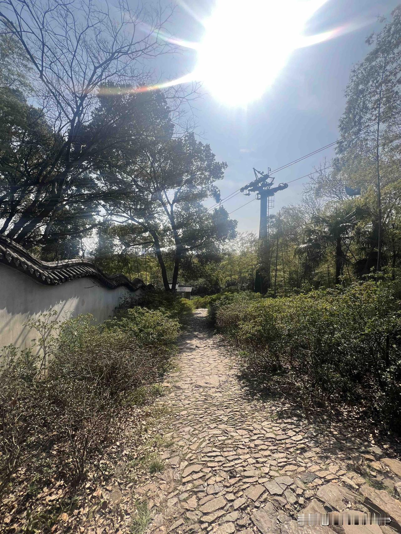 我见青山多妩媚，料青山见我应如是。
踏遍青山人未老，风景这边独好。