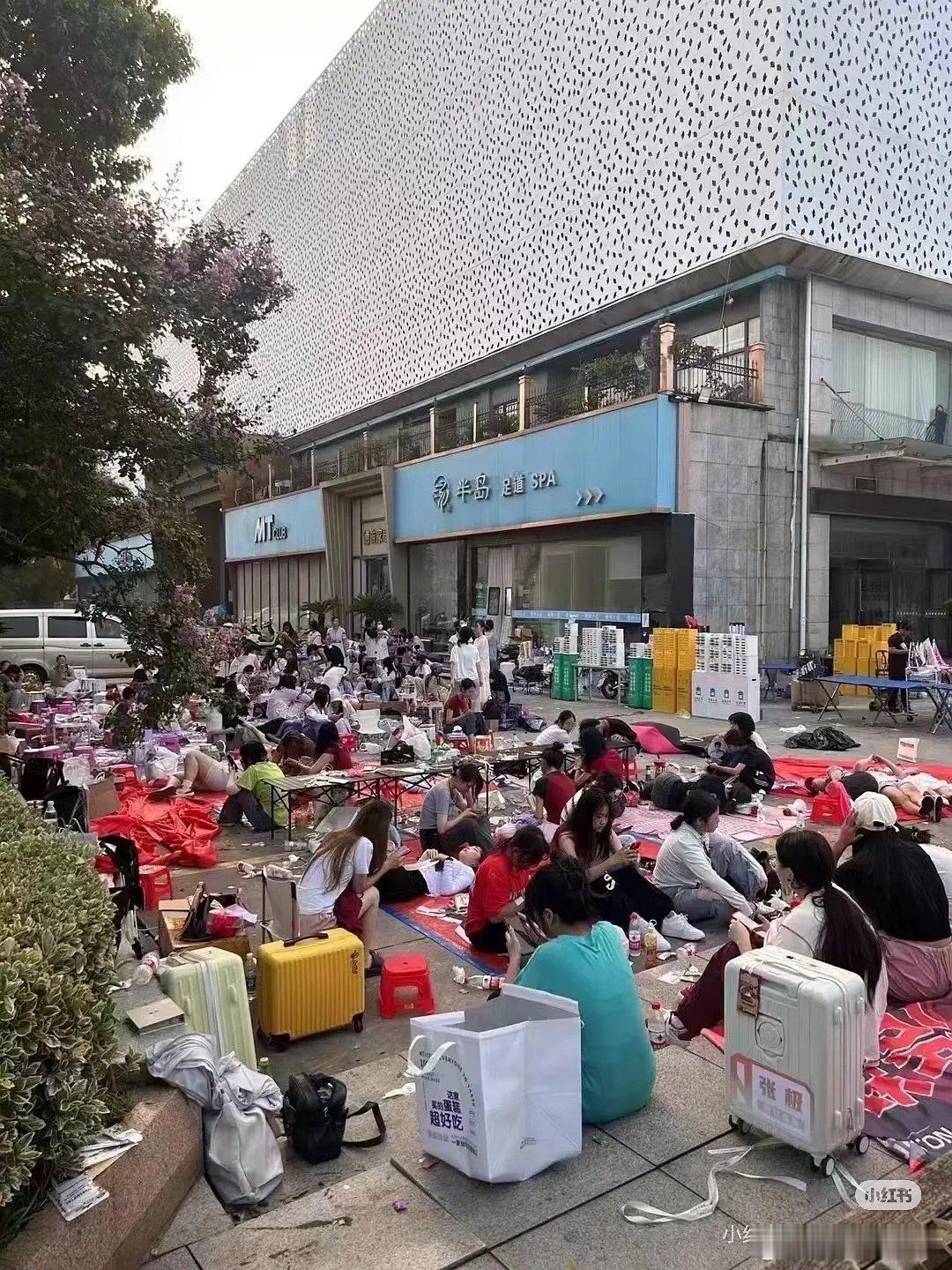 粉丝夜排是不是很影响秩序，好不理解 ​​​